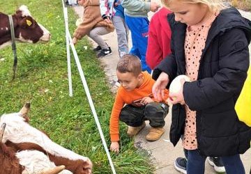 Spacer przedszkolaków