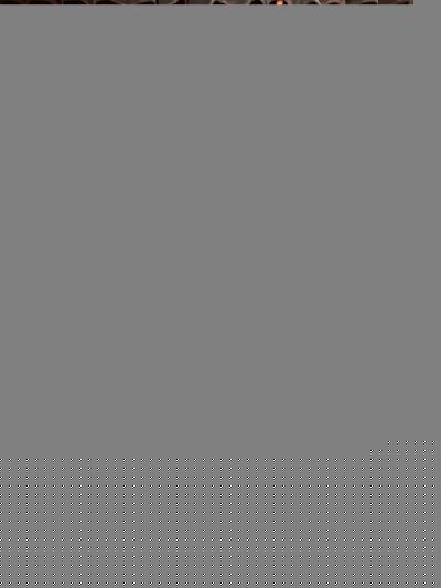 706101888_998145396500319_2418260241943054008_n.jpg