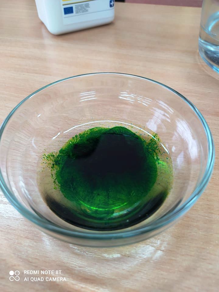 11 (20).jpg
