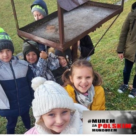 Ptasia stołówka - dokarmiamy ptaki w czasie zimy.