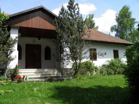 d.jpg